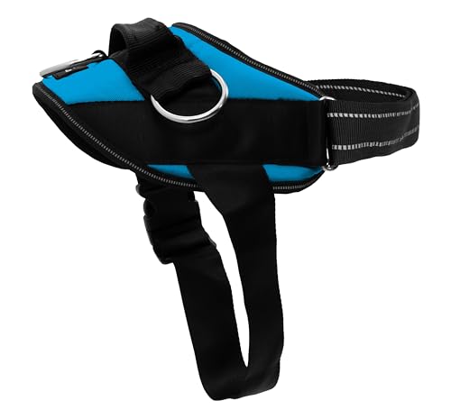 ShawnCo Essential Dog Harness (Oceanic Blue, M)