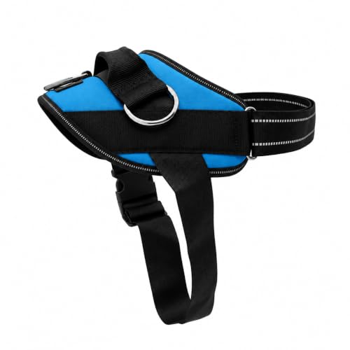 SHAWNCO Essential (Oceanic Blue)