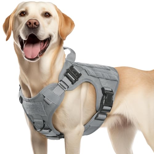 rabbitgoo Tactical Dog Harness Medium Sized, Heavy Duty Pet Harness with Handle, No-Pull Service Vest Medium Breed, Adjustable Military Dog Vest for Training Hunting Walking, Grey, M