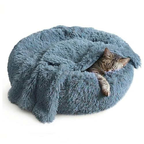 Whiskers & Friends Donut Bed + Blanket