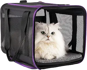 Petisfam Soft Carrier (Black)