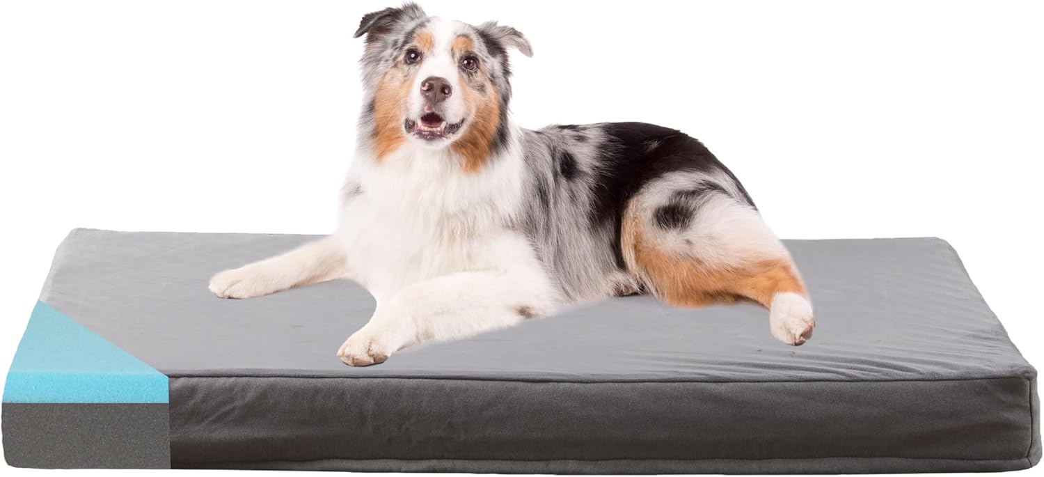 GOHOO PET Memory Foam Bed