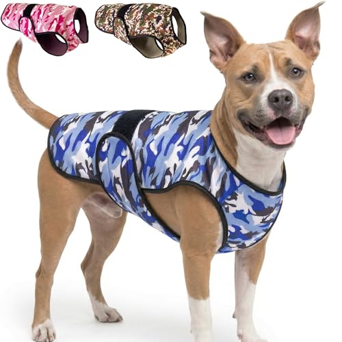 LUCOLOVE 2-Layer Cooling Vest (Blue, Large)