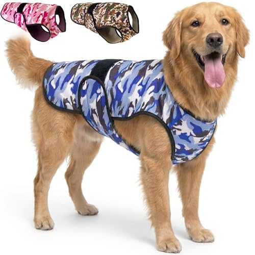 LUCOLOVE 2-Layer Cooling Vest (X-Large, Blue)