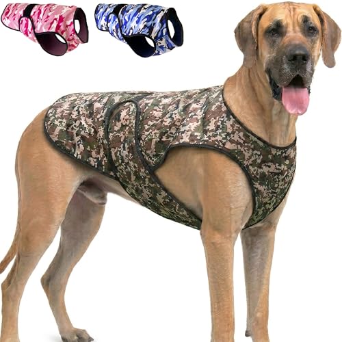 LUCOLOVE Cooling Vest (Green)
