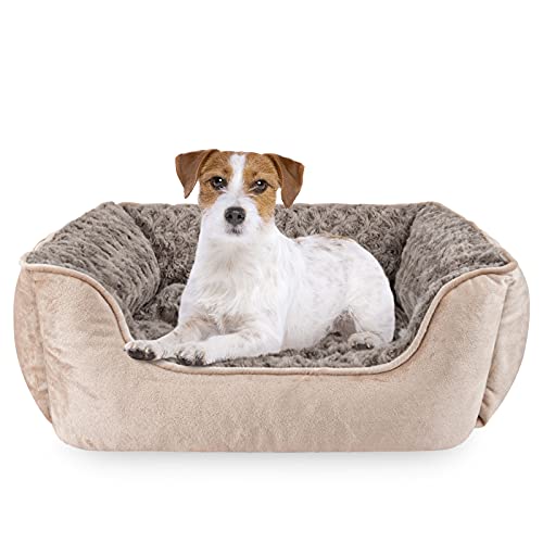 Complete Multi-Dog Bedroom Setup (2026): Beds, Mats & Organizers
