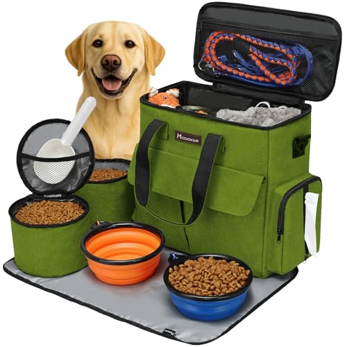 Best Dog Bowls and Travel Water Supplies for Day Trips (2026)