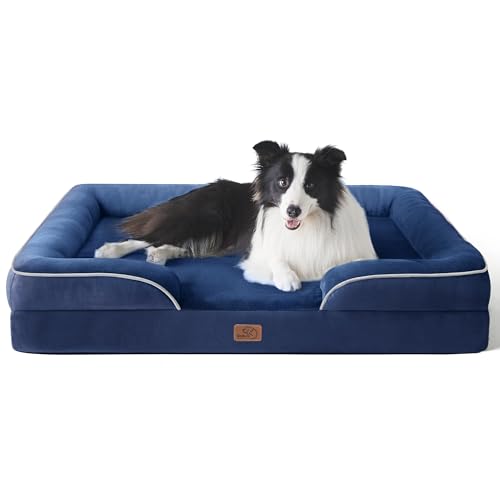 Orthopedic vs Memory Foam vs Elevated Dog Beds: Best Choice for Hot Spring Nights (2026)