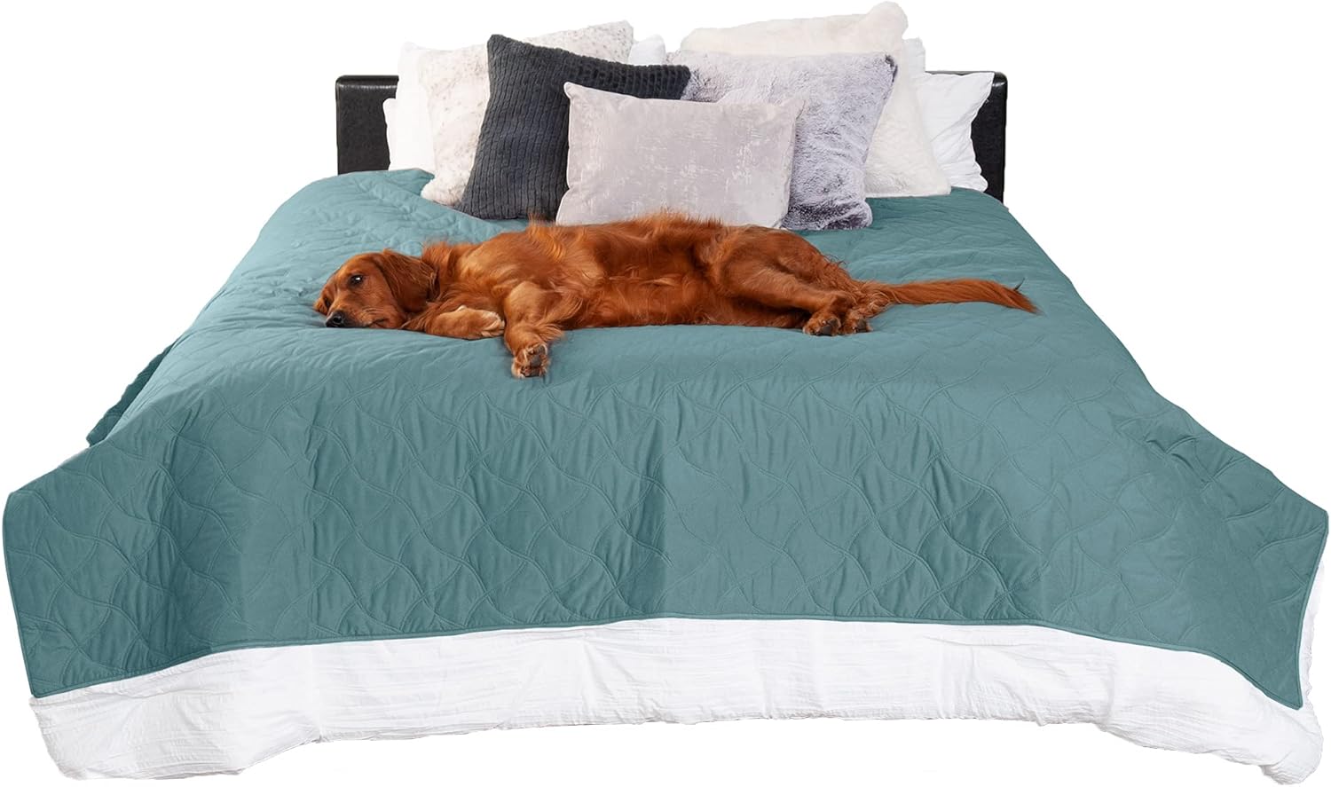 Furhaven Mattress Cover Protector