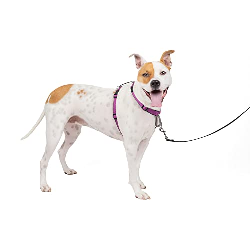PetSafe 3 in 1 No-Pull Harness