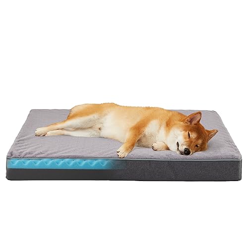 WATANIYA Memory Foam