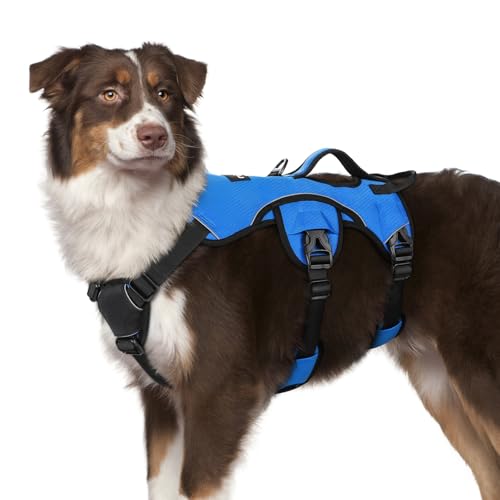 rabbitgoo Escape Proof Dog Harness, M