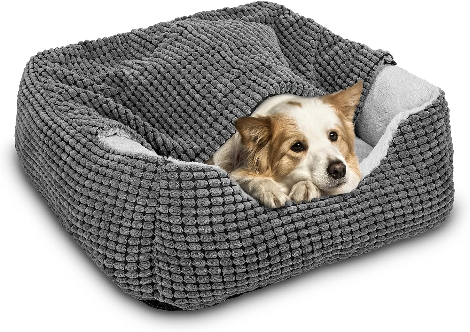 Best Waterproof Dog Beds for Porches & Patios (2026 Guide)
