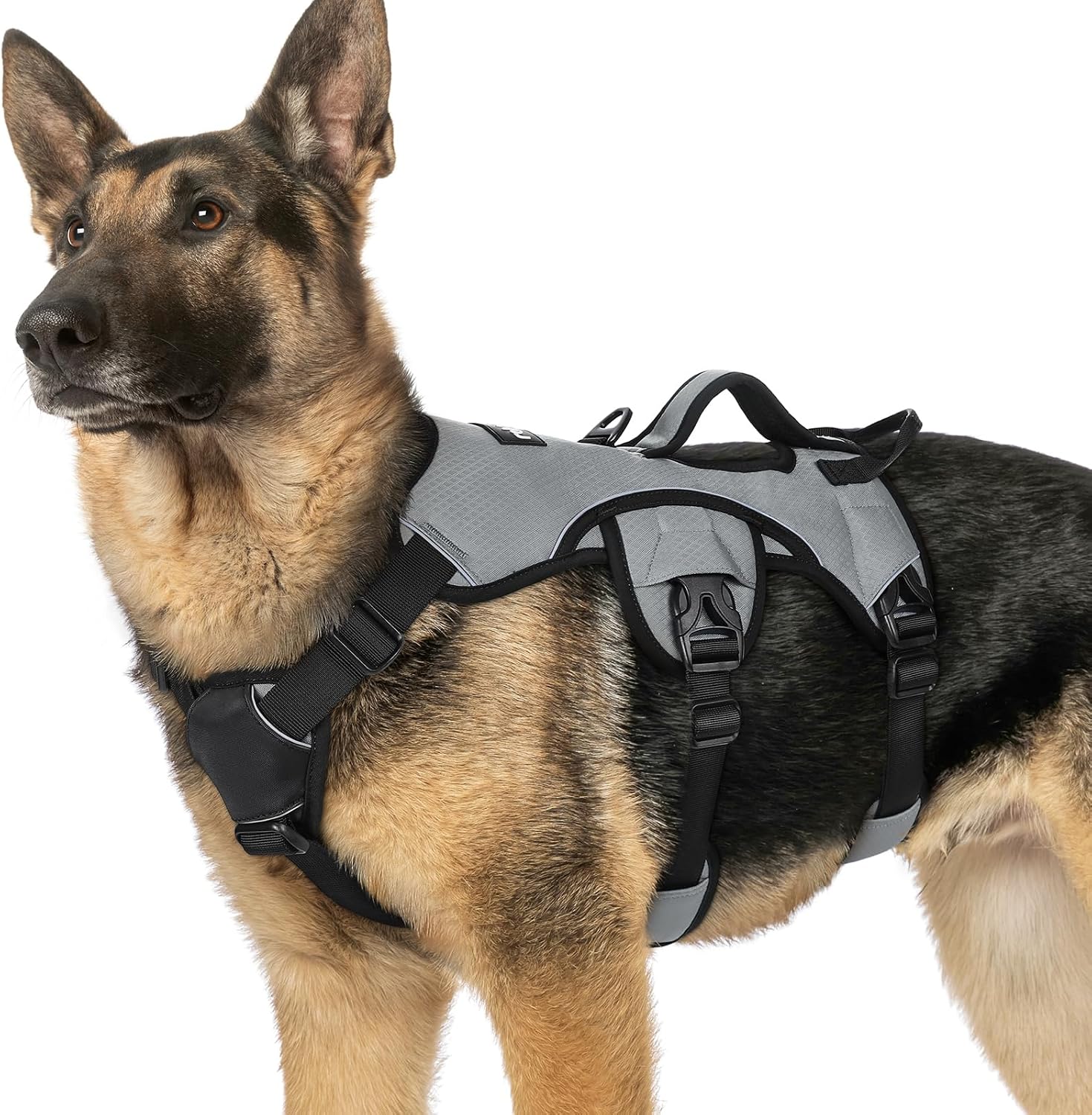 rabbitgoo Escape Proof Dog Harness, Soft Padded Full Body Pet Harness, Reflective Adjustable No Pull Vest with Lift Handle and Leash Clip for Large Dogs Walking Hiking Training, XL, Grey