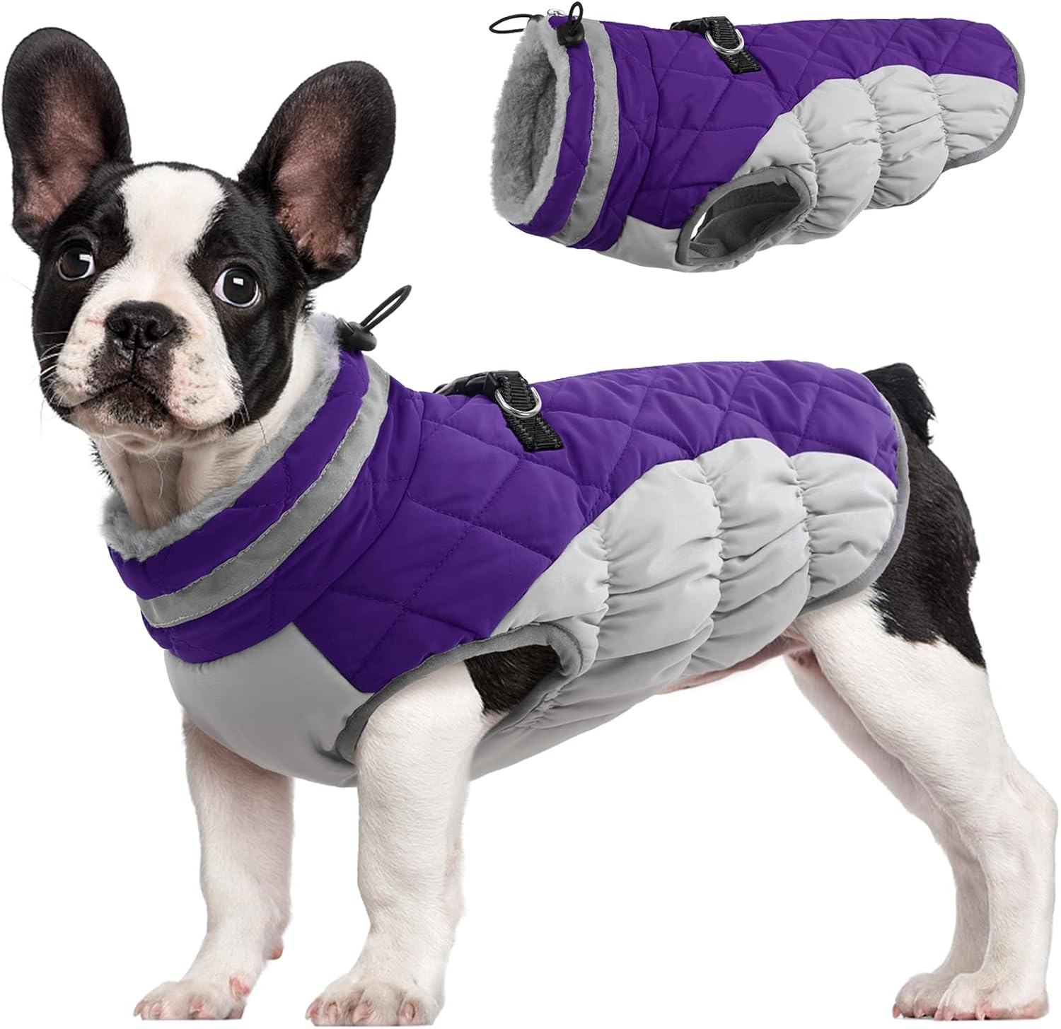 FUAMEY Dog Coat (Purple M)