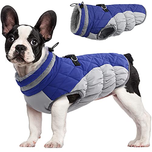 FUAMEY Dog Coat (Blue M)
