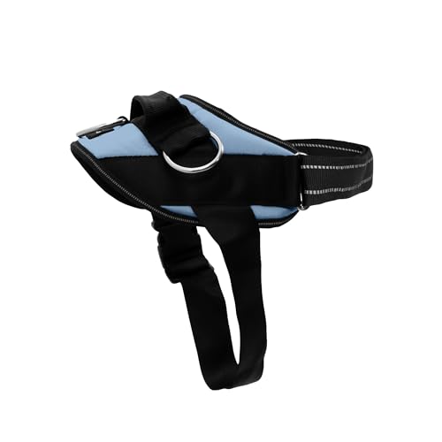 Best Reflective Harnesses & LED Vests for Early Nightfall (2026 Guide)