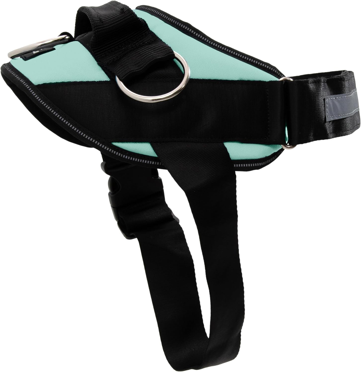 ShawnCo Essential Dog Harness (Seafoam, XL)
