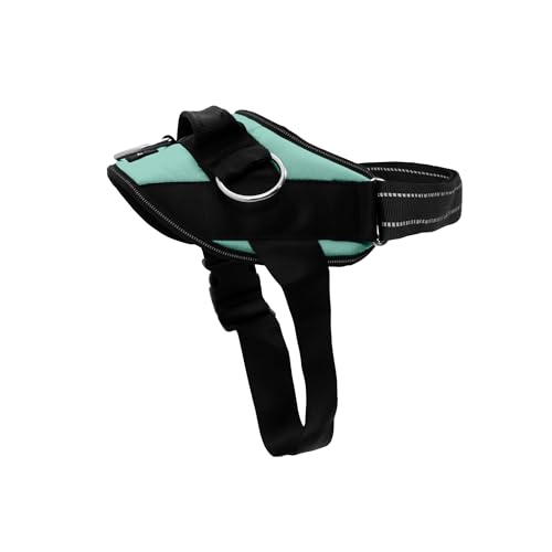 SHAWNCO Essential (Seafoam, L)