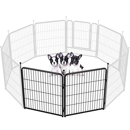 FXW Rollick Unleashed 32"