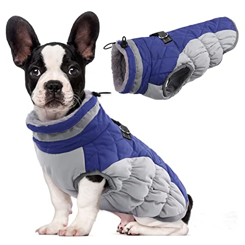 LeLePet Dog Coat (Blue M)