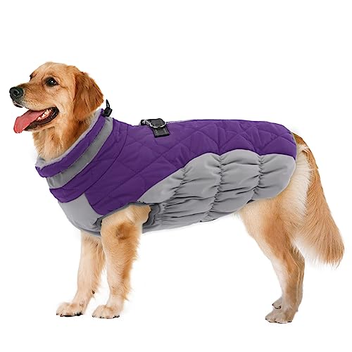 LeLePet Dog Coat (Purple 2XL)