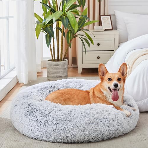 WESTERN HOME Calming Donut (Most Reviewed)