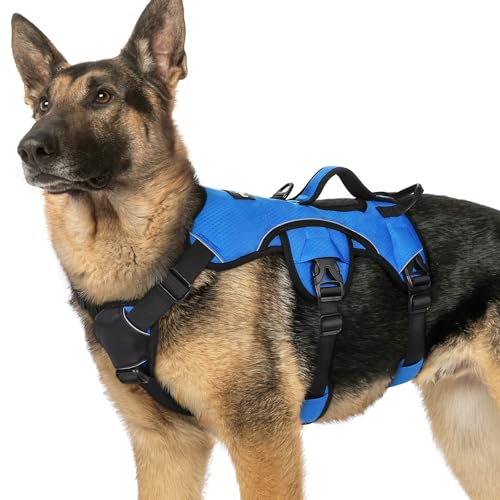 rabbitgoo Escape Proof Harness (Blue)