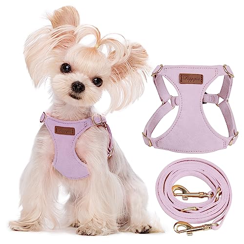 Puppytie No Pull XXS Puppy Harness