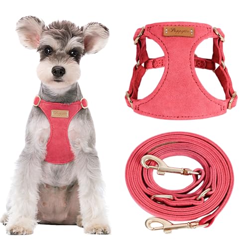 Puppytie No Pull Dog Harness with Multifunction Dog Leash,Soft Adjustable No Choke Escape Proof Pet Harness Vest for Medium Dogs or Large Dogs,red-Camellia,M