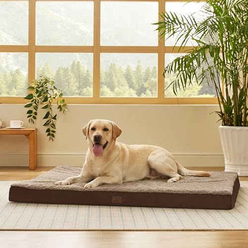 Best Kennel & Crate Covers for Warm Weather (2026 Guide)