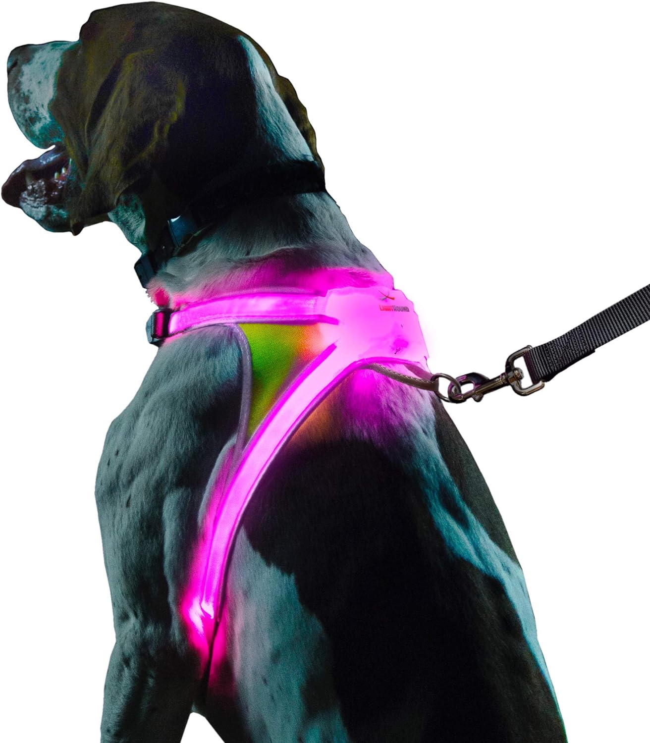 Noxgear LightHound (Large)