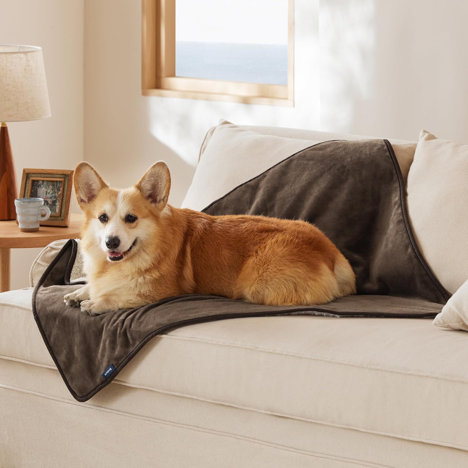 Bedsure Waterproof Dog Blanket