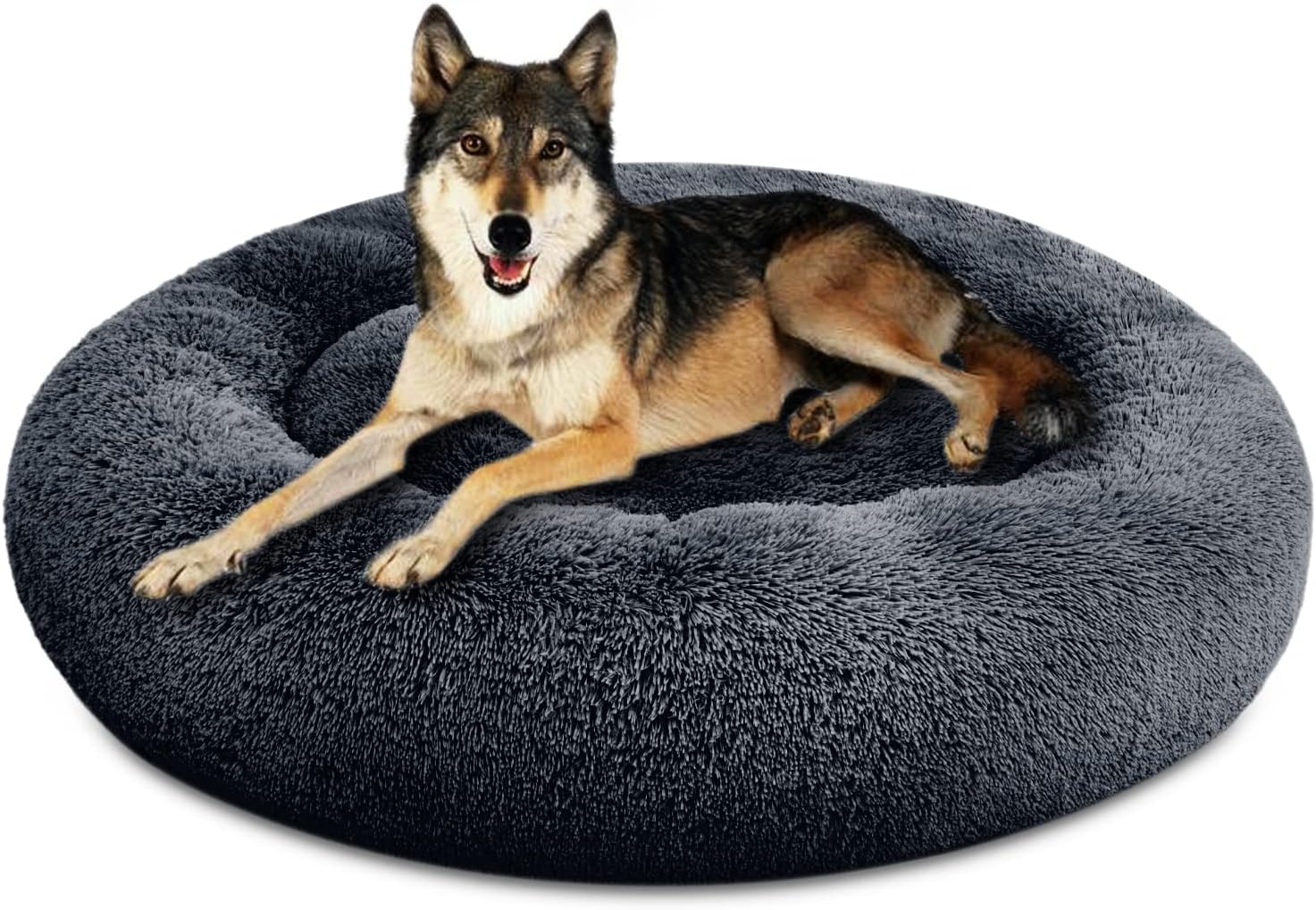 How to Pick a No-Slip, No-Odor Dog Bed for Hardwood Floors (2026 Guide)