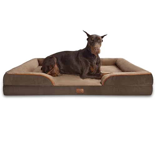 How to Choose a Washable Dog Bed for Messy Dogs (2026 Solutions)