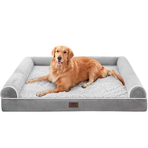 How to Choose a Dog Bed for Joint Pain (2026 Solution Guide)
