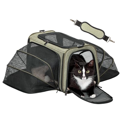Petsfit Expandable Soft-Sided Carrier