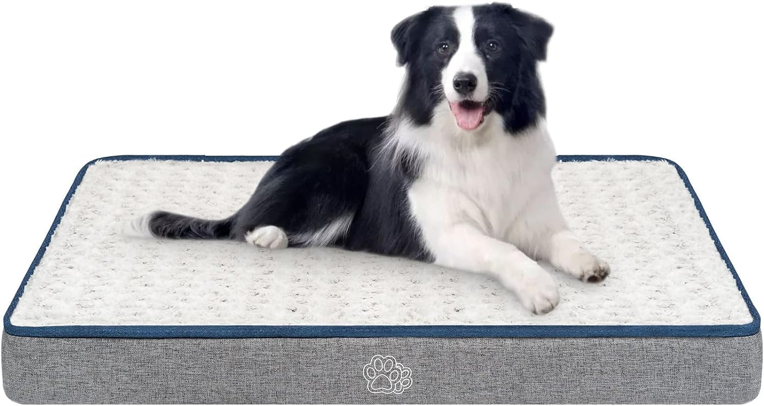 Best Seasonal Reversible Dog Beds for Hot Summers and Cool Evenings (2026)