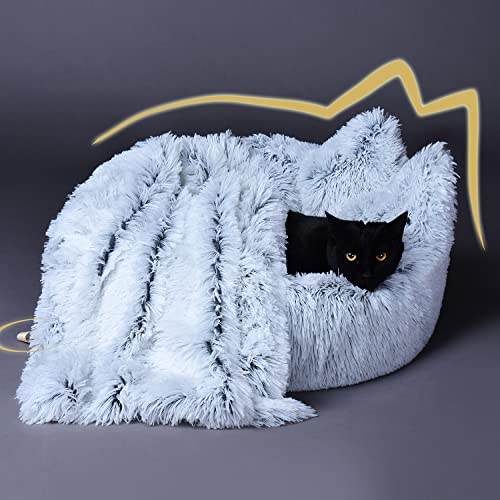 Cooling Gel vs Elevated Mesh vs Ceramic: Best Dog Beds for Hot, Long-Haired Breeds (2026)