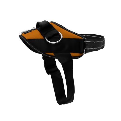 ShawnCo Essential (Sunset Orange)