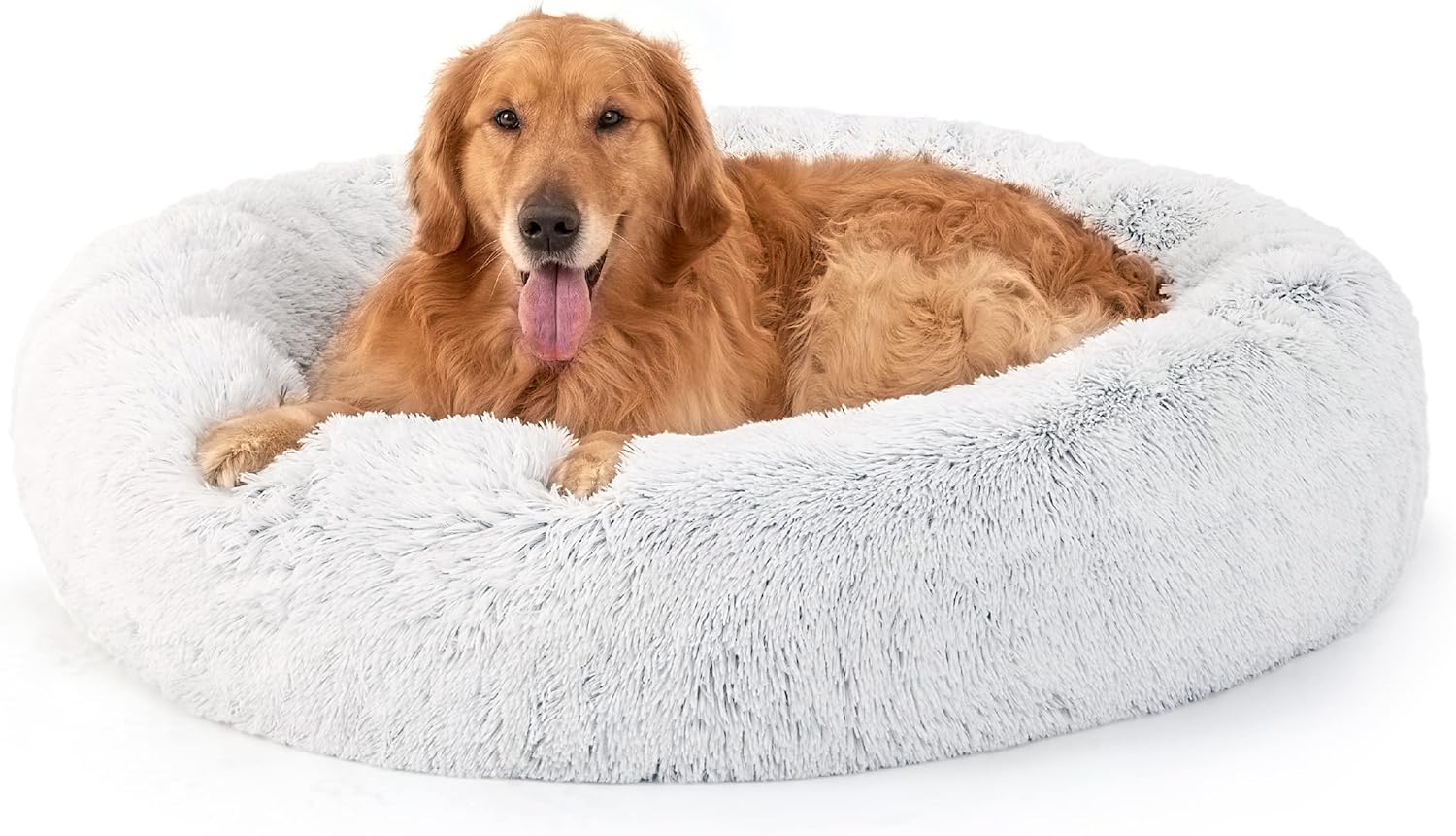 How to Choose a Washable Dog Bed That Keeps Its Shape (2026)