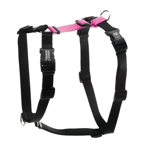 Blue-9 Buckle-Neck Balance Harness