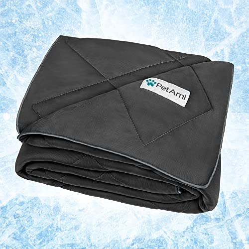 PetAmi Premium Cooling Blanket (40x60)