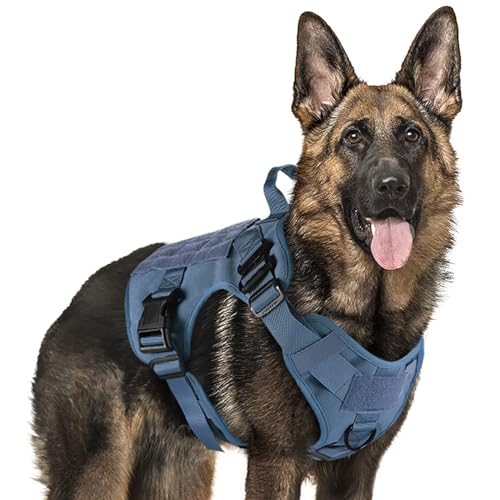rabbitgoo Tactical Dog Harness for Large, Heavy Duty Pet Harness with Handle, No-Pull Service Vest Large Breed, Adjustable Military Dog Vest for Training Hunting Walking, Blue, XL