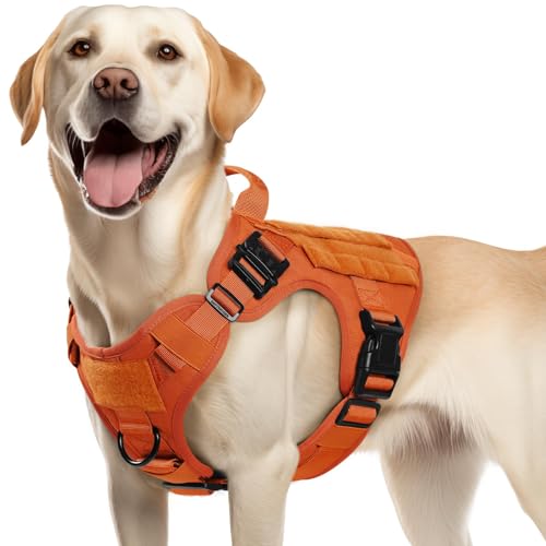 rabbitgoo Tactical Dog Harness (M)