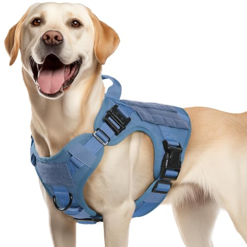rabbitgoo Tactical Dog Harness Medium Sized, Heavy Duty Pet Harness with Handle, No-Pull Service Vest Medium Breed, Adjustable Military Dog Vest for Training Hunting Walking, Blue, M