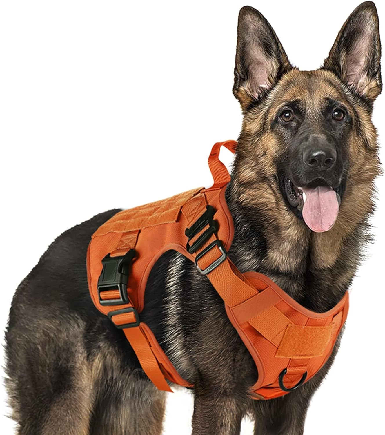 Step-In vs Vest vs Dual-Clip Harnesses for Active Hikers (2026)