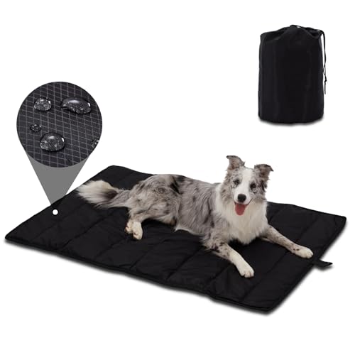 BDEUS 51x35in Outdoor Mat