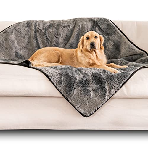 PupProtector 60x50 Dark Grey