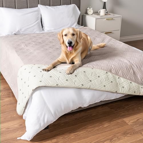 Best Reversible Dog Bed Mats for Year-Round Comfort (2026)